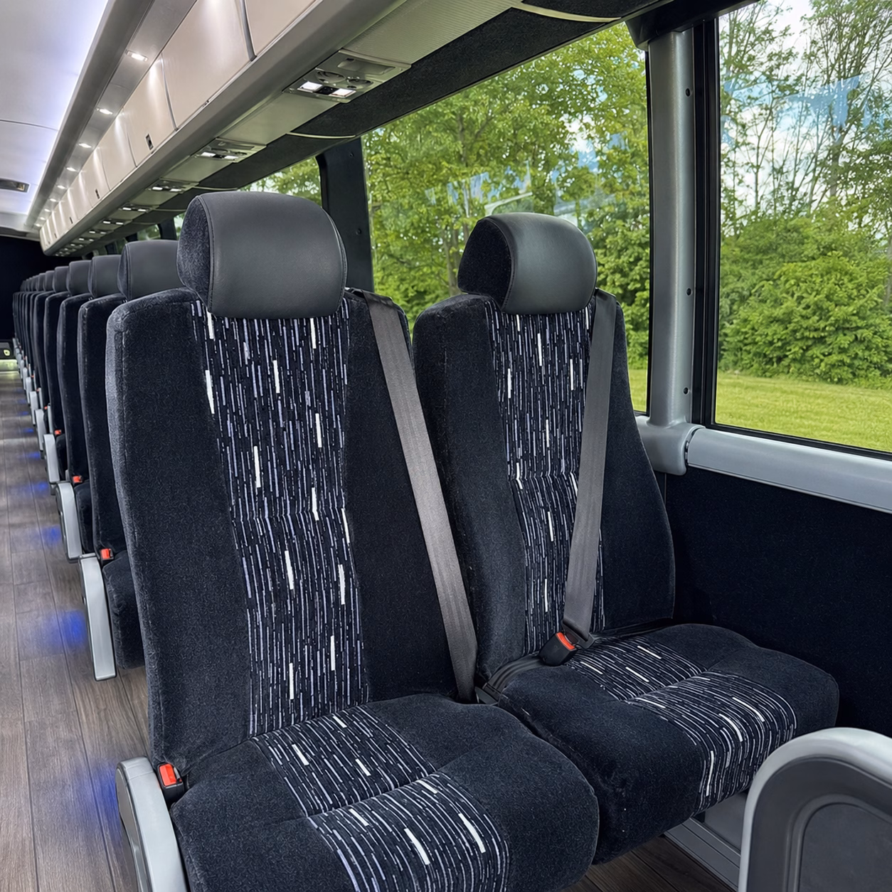 explore warren county wineries without the driving headaches