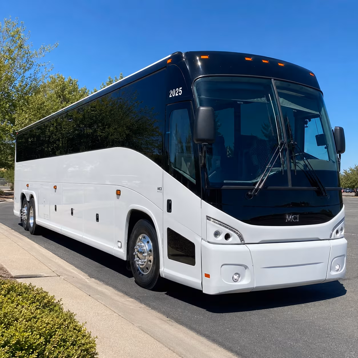 pilgrimage bus rentals for clifton congregations